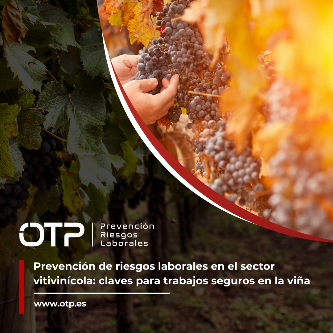 Prevención de riesgos laborales en el sector vitivinícola: claves para trabajos seguros en la viña